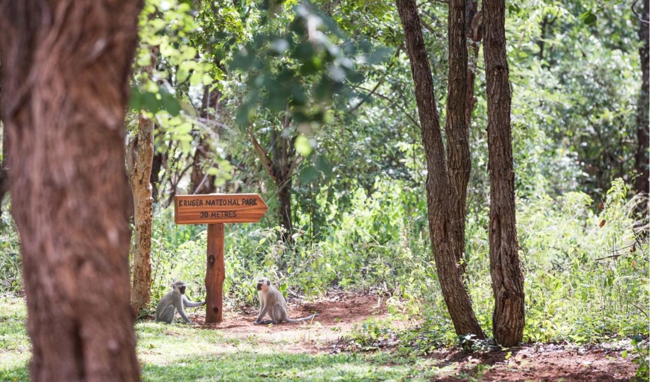 Kingly Bush Villa Phalaborwa Esterno foto