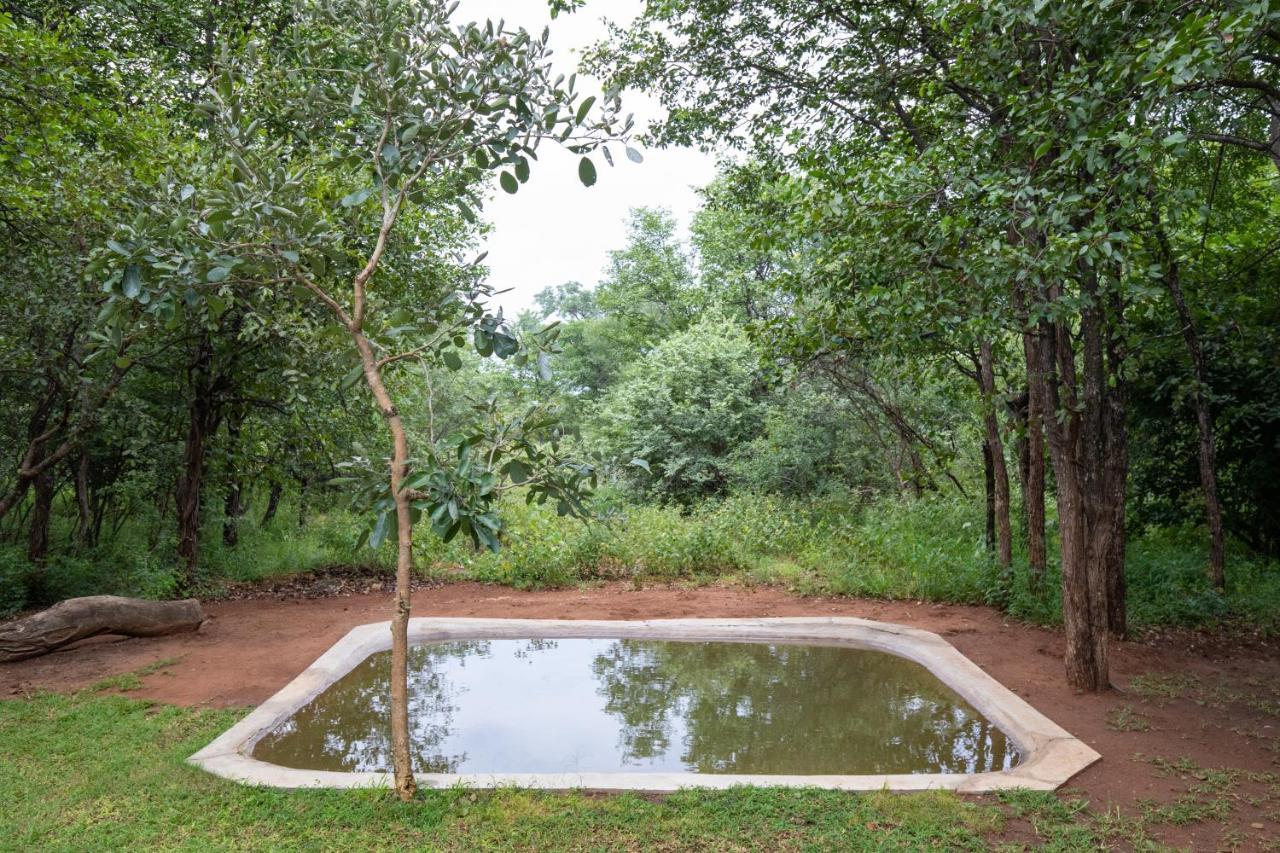 Kingly Bush Villa Phalaborwa Esterno foto